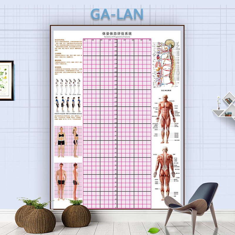 体态评估表墙贴健身房体测网格纸瑜伽馆私教姿势体位背景墙体姿图绿