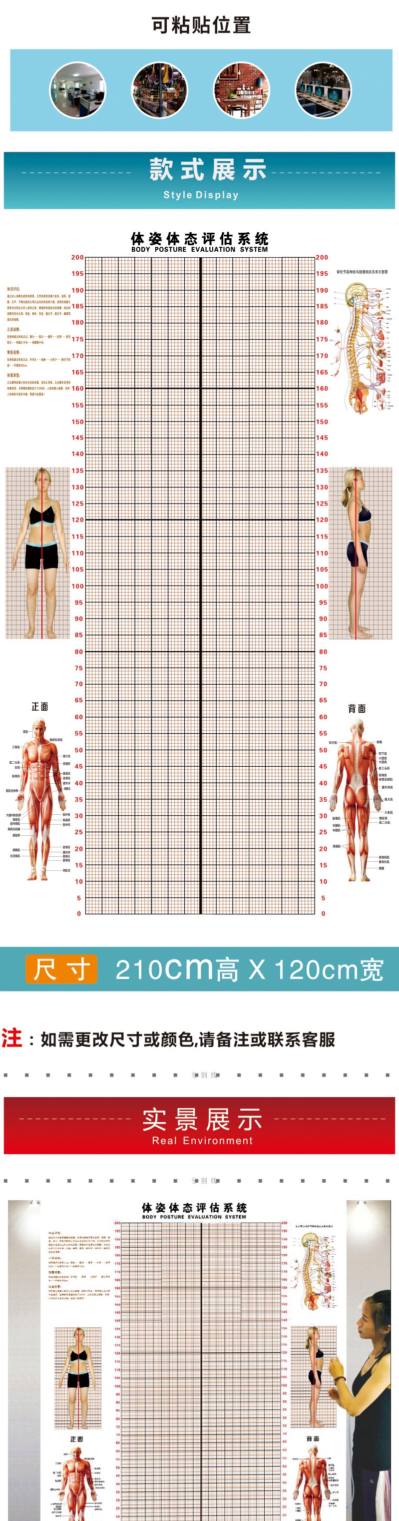体态评估网格图体态评估表墙贴健身房体测网格纸瑜伽馆私教姿势体位