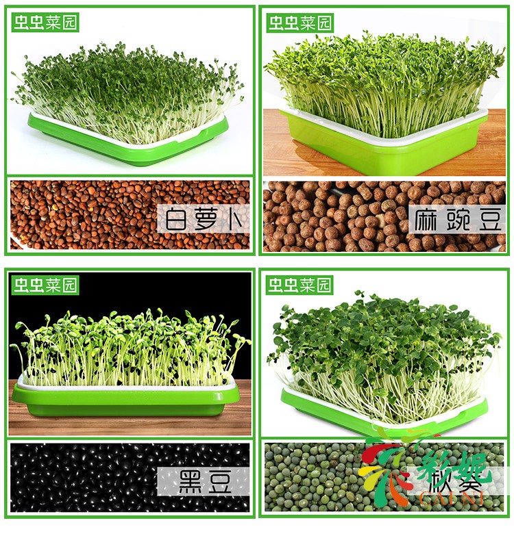 芽苗菜豆芽菜育苗盘豆芽发芽盆豌豆苗种植盘桶架小麦种子纸上种菜 6层