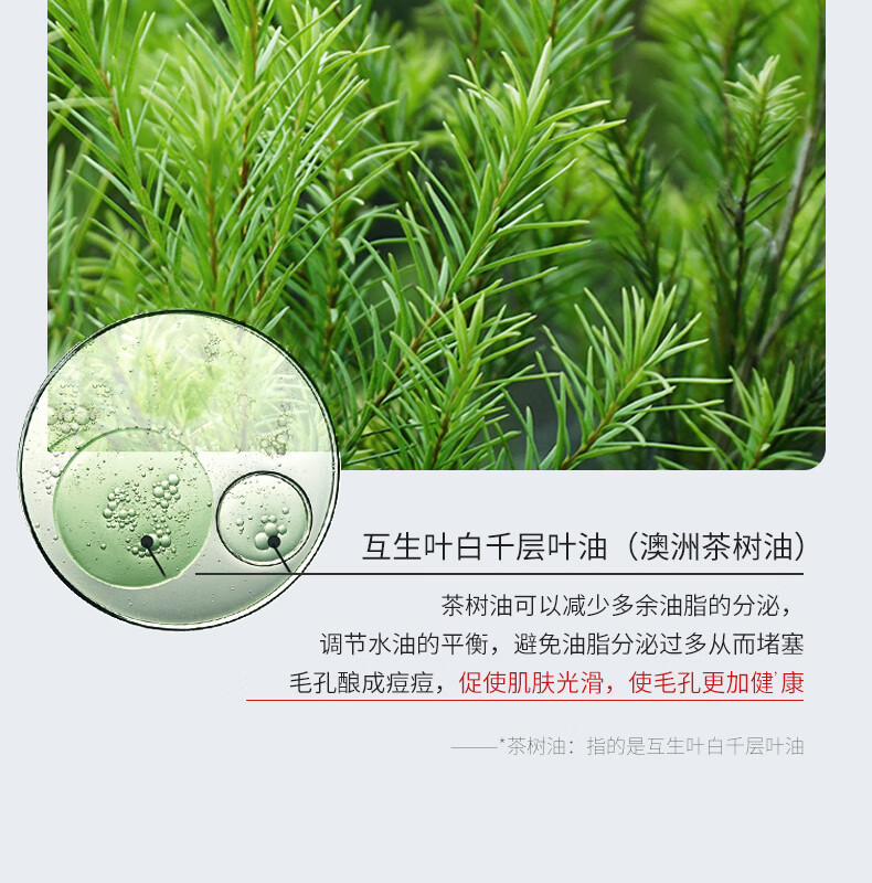 冰菊（BingJu）茶树油水盈清颜面膜补水保湿亮肤 5盒/50片