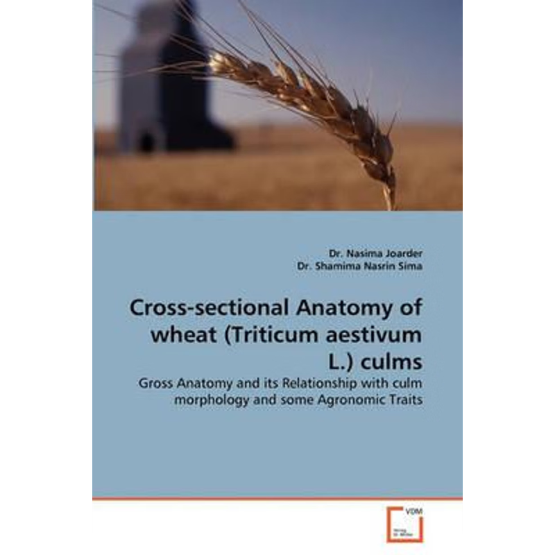 按需印刷Cross-Sectional Anatomy of Wheat (Triticum Aestivum L.) Culms[9783639300499]