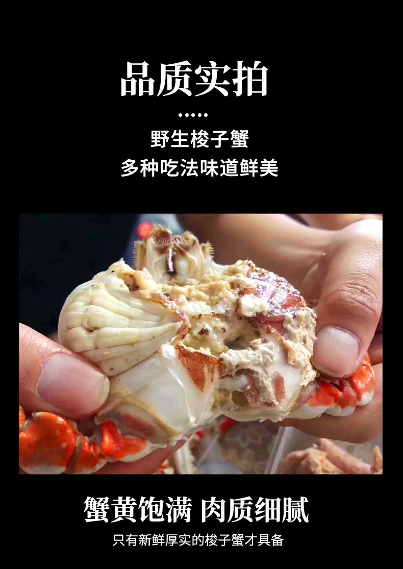 鲜活蟹发货三座海鲜活梭子蟹莱州特大螃蟹海蟹新鲜飞蟹公蟹母蟹红膏满