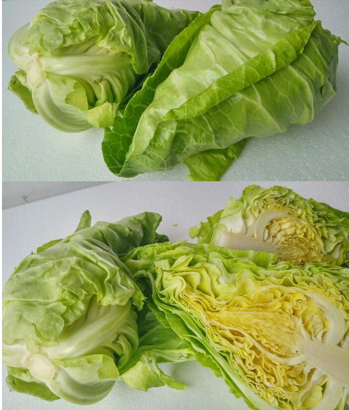 牛心菜新鲜 甘蓝莲花白 绿叶菜包菜 农家蔬菜 5斤【图片 价格 品牌