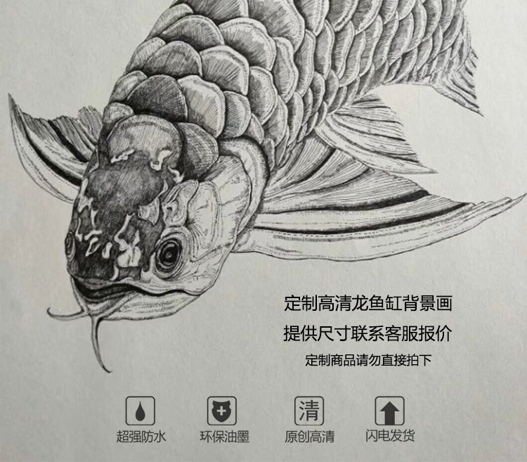 鱼缸壁纸3d 鱼缸背景纸画高清图3d立体壁画水族箱背景