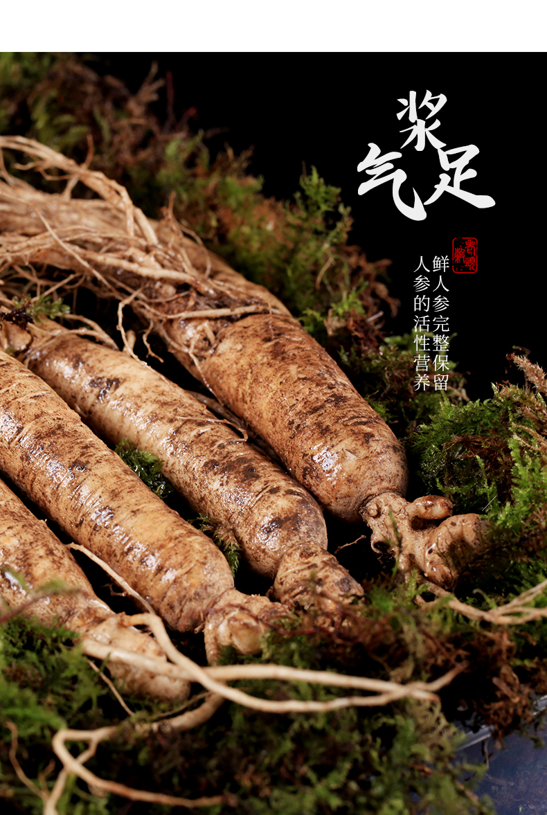 新鲜人参长白山人参250g 东北吉林特产泡酒煲汤 250g