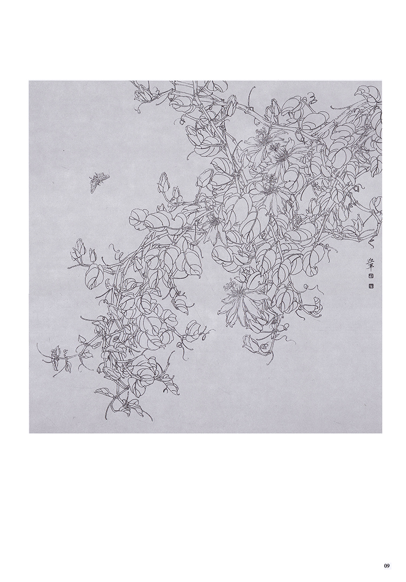 白描画谱热带植物二唯美白描精选国画技法解析福建美术出版社正版
