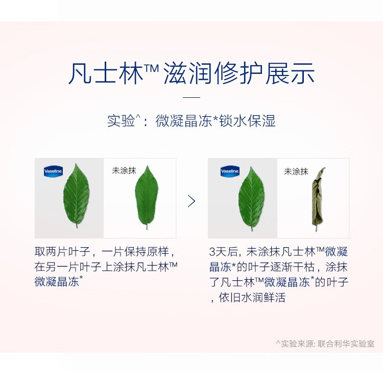 凡士林经典修护保湿润唇膏7g小Q罐滋润唇膜晶冻男女士妆前打底护唇膏 玫瑰花蕾味*1瓶 凡士林