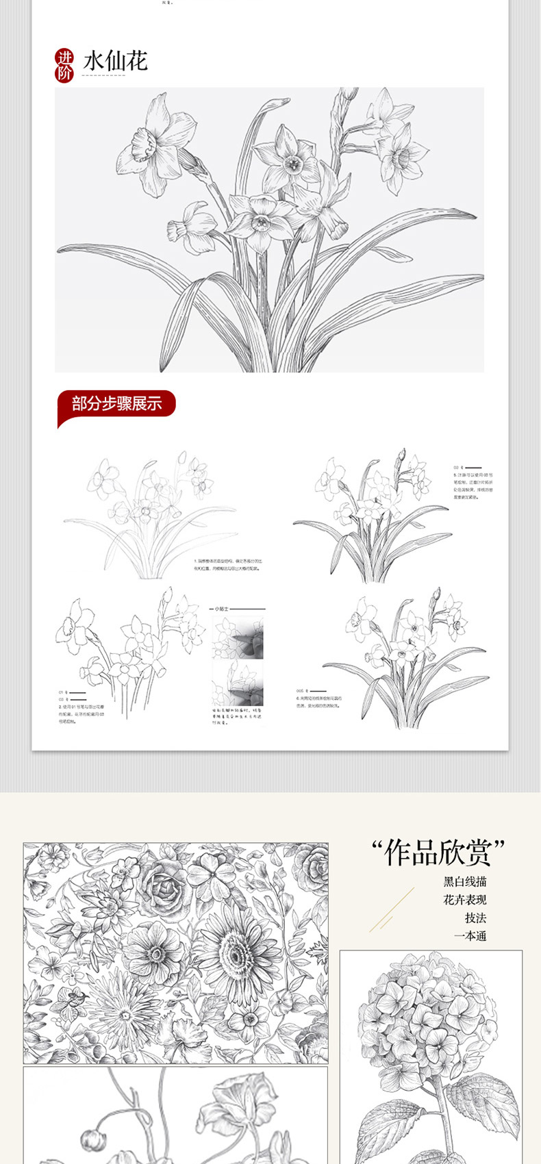 黑白花意 线描花卉从起形到插画创作 花卉形态与构造组合插画集线描