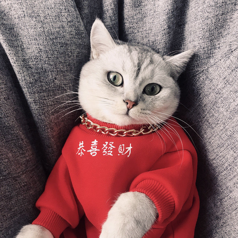 小猫衣服红猫咪衣服新年装泰迪狗狗秋冬装可爱红色小宠物猫狗用品保暖