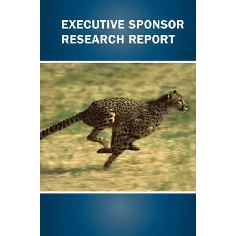 按需印刷Executive Sponsor Research Report[9781329884052]