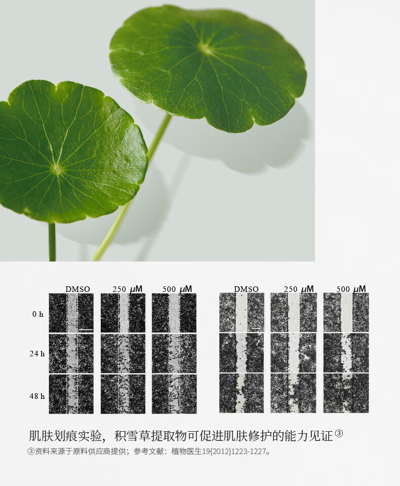 三草两木（SASELOMO） 沁润补水面膜10片补水保湿深层锁水收缩毛孔舒缓修护雪肌莹亮 舒缓滢润面膜10片 10片