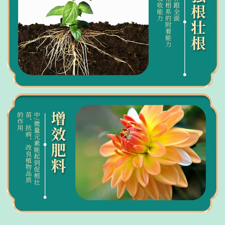 艾尚棵  植物营养液花肥料家用通用型盆栽发财树富贵竹绿萝水培花卉绿植 通用型500ml*2瓶+喷壶