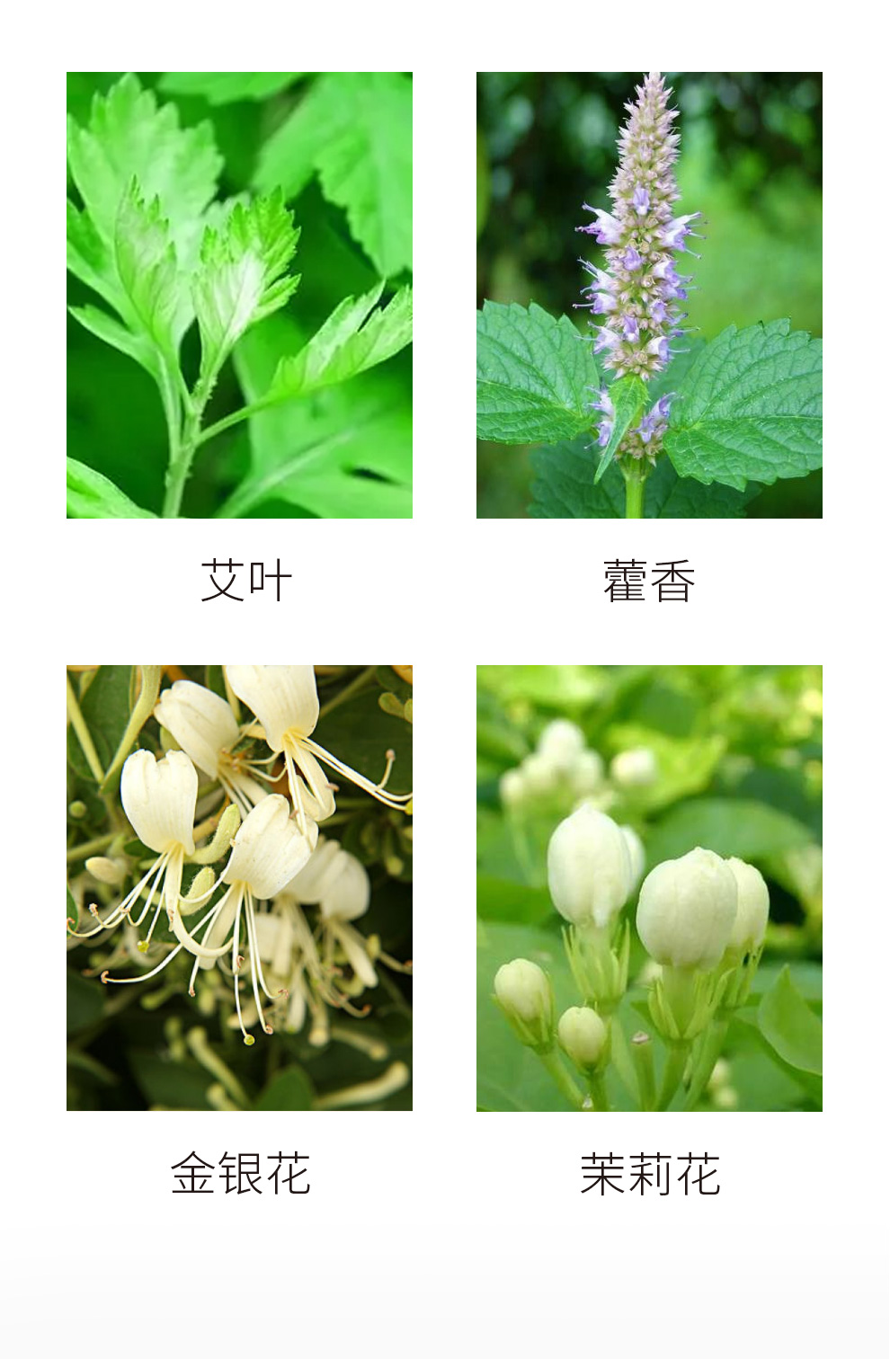 季德胜艾叶蚊虫叮咬止痒苦参足部止痒健肤水30ml 艾叶蚊虫叮咬止痒健肤水