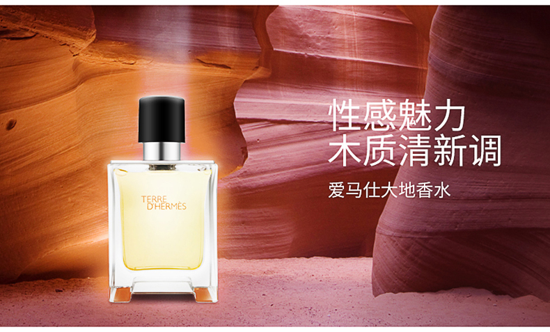 爱马仕（HERMES）Terre D'Hermes 大地男士淡香水持久清新 节日送男友生日新年礼物 大地EDT 50ml