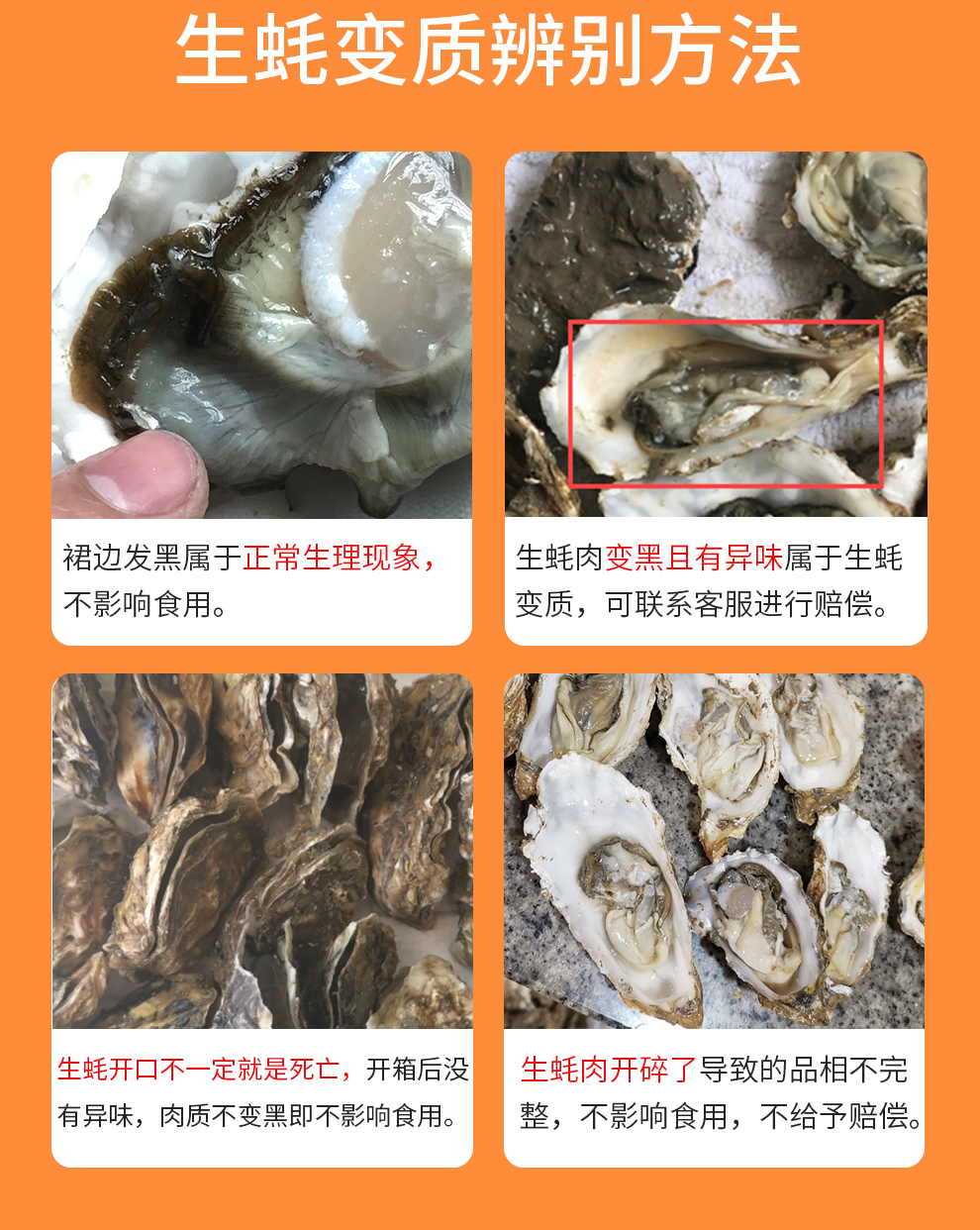 生蚝变质辨别方法裙边发黑属于正常生理现象,生蚝肉变黑且有异味属于