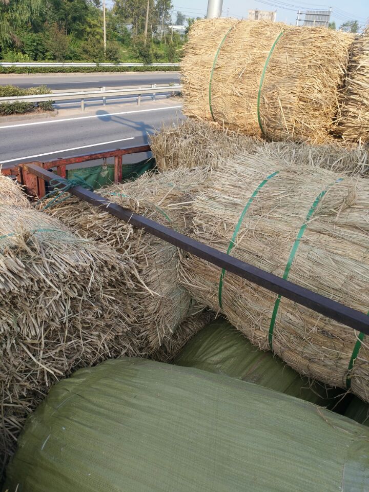 稻草帘子蔬菜大棚保暖草帘子施工保湿养护草垫屋顶装饰帘12米宽5米长