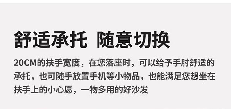 罗籍乐2024新款意式布艺沙发沙发钢猫抓直排沙发双人轻奢琴猫抓皮沙发简约客厅小户型直排轻奢 直排双人位2米 猫抓皮[海绵款]详情图片25