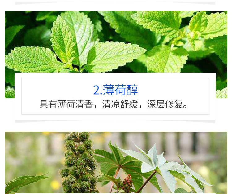 百蕾适（Blistex）润唇膏碧唇小蓝罐美国进口防晒唇部精华防干裂保湿滋润薄荷 小蓝罐润唇膏1只