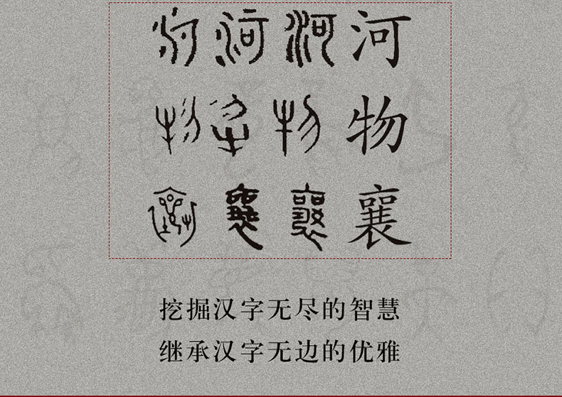 精装2册 发现汉字 图说字源 唐汉/著 汉字文化演变研究象形文字甲骨文