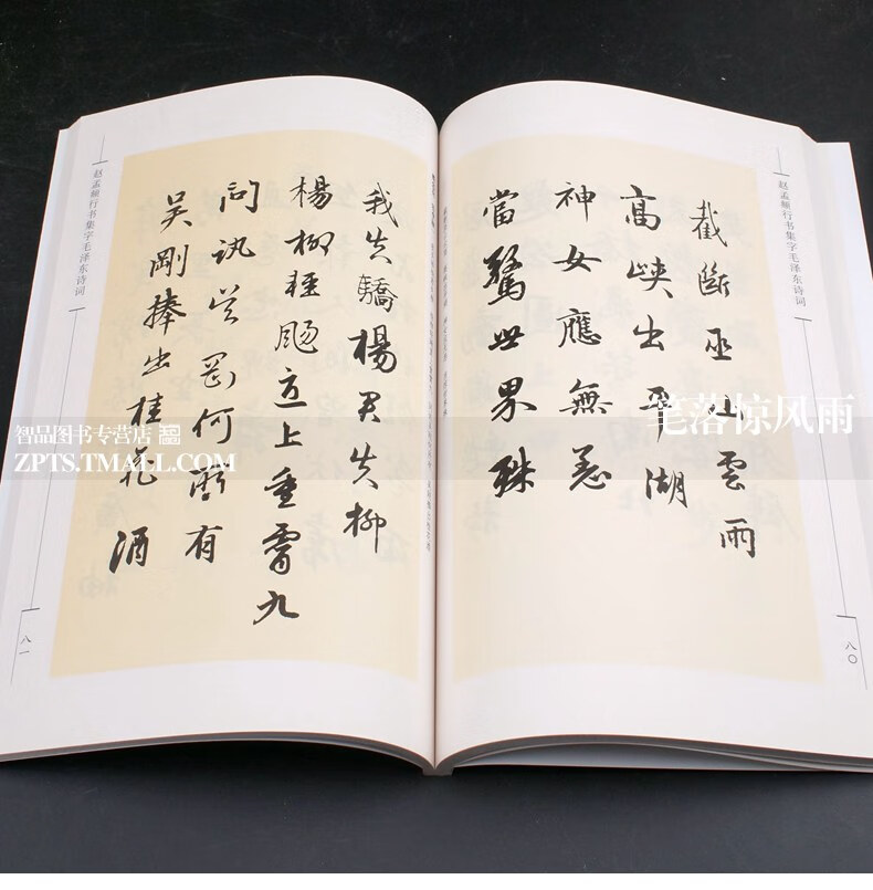 词五言诗沁园春雪 简体旁注 行书法帖 于魁荣行书毛笔字帖软笔书法