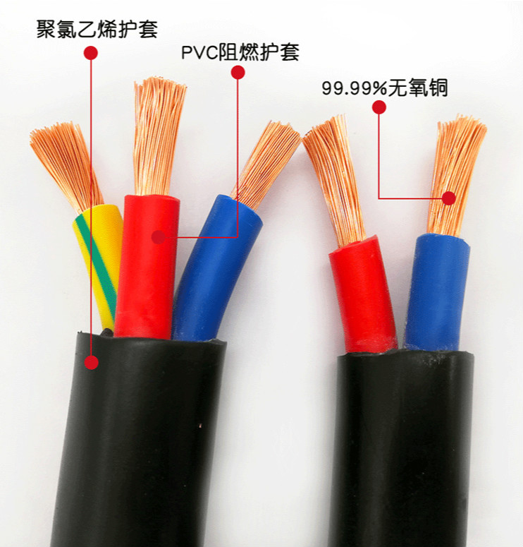 5 2.5 4 6平方护套线防水防冻国标纯铜芯电缆线 2芯4平方10米