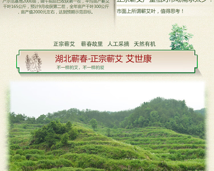 艾世康【艾叶艾草精选】干艾叶泡脚包足艾叶发汗山地月子2袋浴粉泡澡家用洗头发汗月子 【山地艾叶买1 送1】发2袋详情图片8