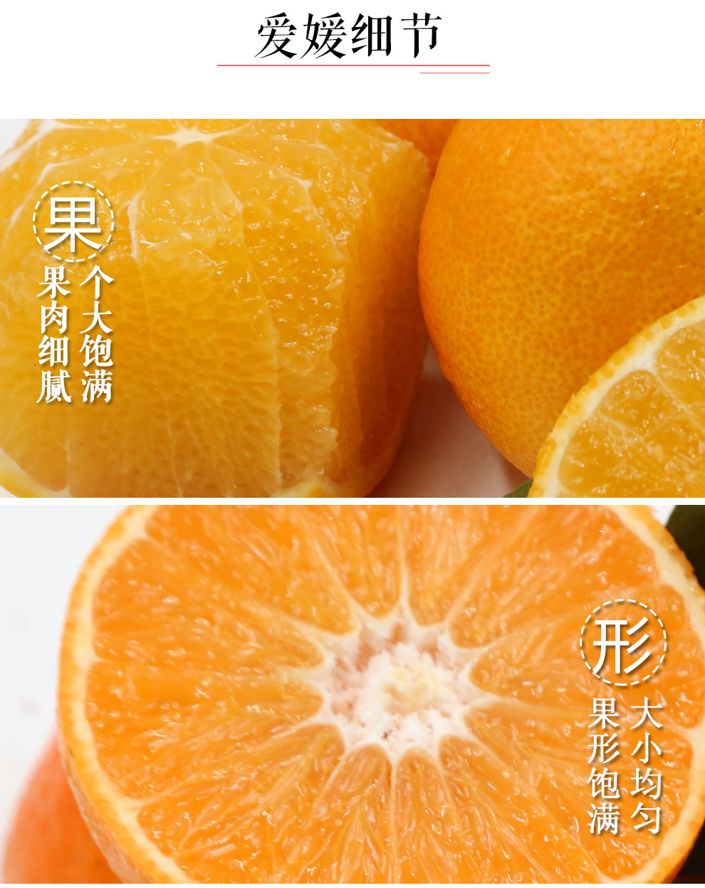 爱媛38号柑橘水果 约5斤装