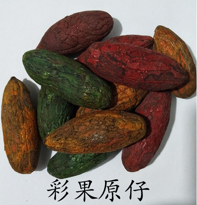 千眼菩提 鳄鱼果大果胖果绿果原果 菩提子原籽精选 5