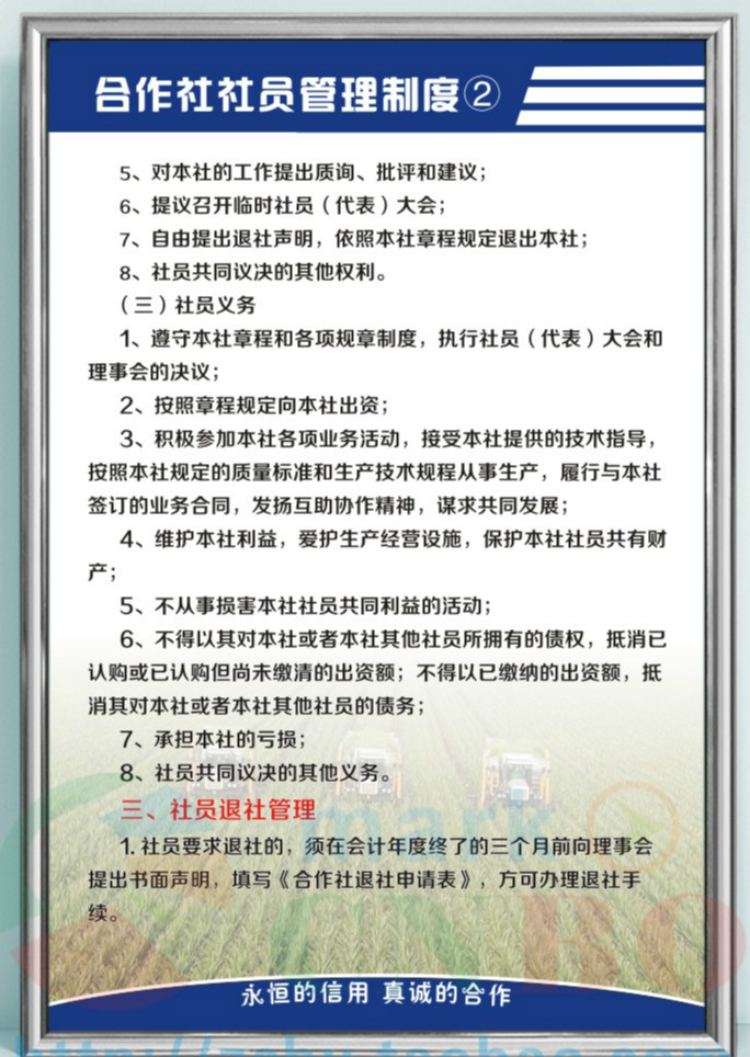 家装软饰 墙贴/装饰贴 teaegg 农民合作社制度牌管理规章制度一套10张