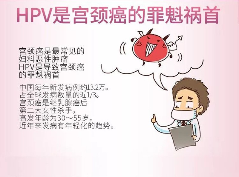 【运费0元 多盒更实惠】宫宜康hpv 抗菌凝胶 液体敷料 3g*5支/盒 新老