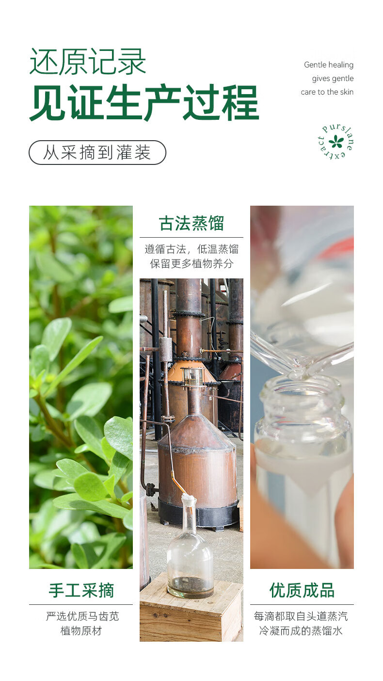 fUT马齿苋爽肤水补水喷雾舒缓敏易感肌泛红保湿敷护肤化妆水纯露男女 马齿苋纯露250ml