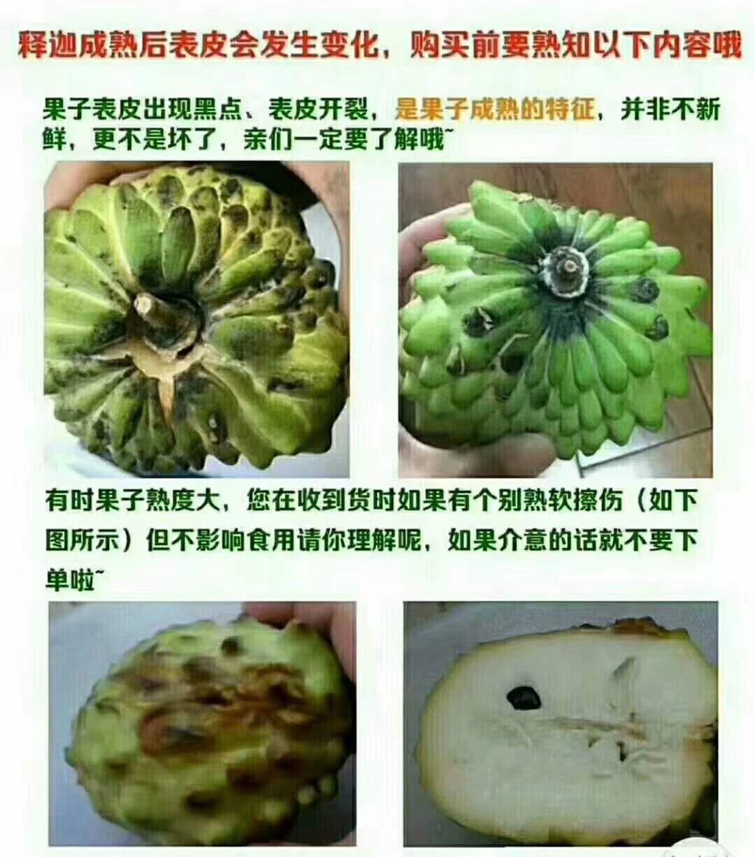 台湾牛奶凤梨释迦果大果新鲜进口当季水果番荔枝佛头果5空运 2500g 单