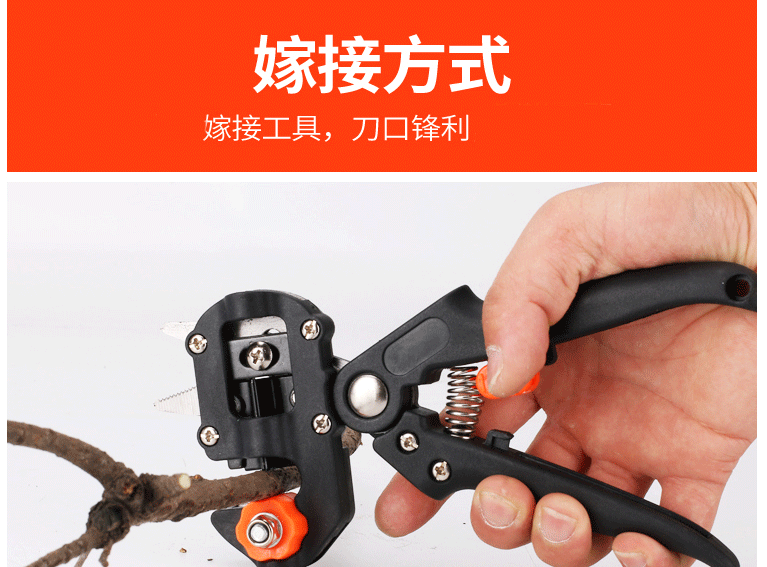6d8ab51c37466e55.png