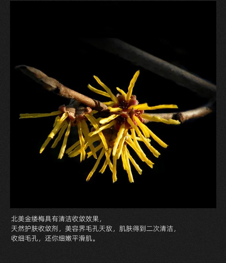 洛芬伦敦圈层维生素洗面奶氨基酸洁面乳除螨控油去黑头痘痘 洛芬 维生素控油祛痘洗面奶180g
