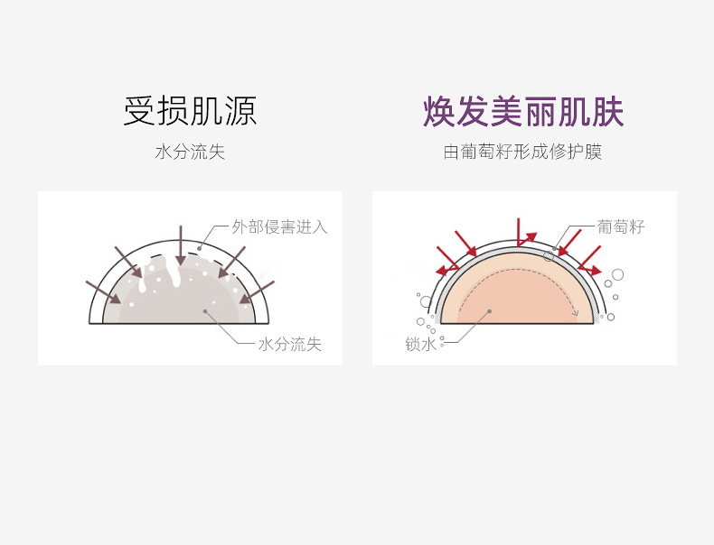 私信法国葡萄籽抗氧修护改善细纹焕亮肤色补水保湿护肤化妆品套装 抗氧修护精萃水乳套装