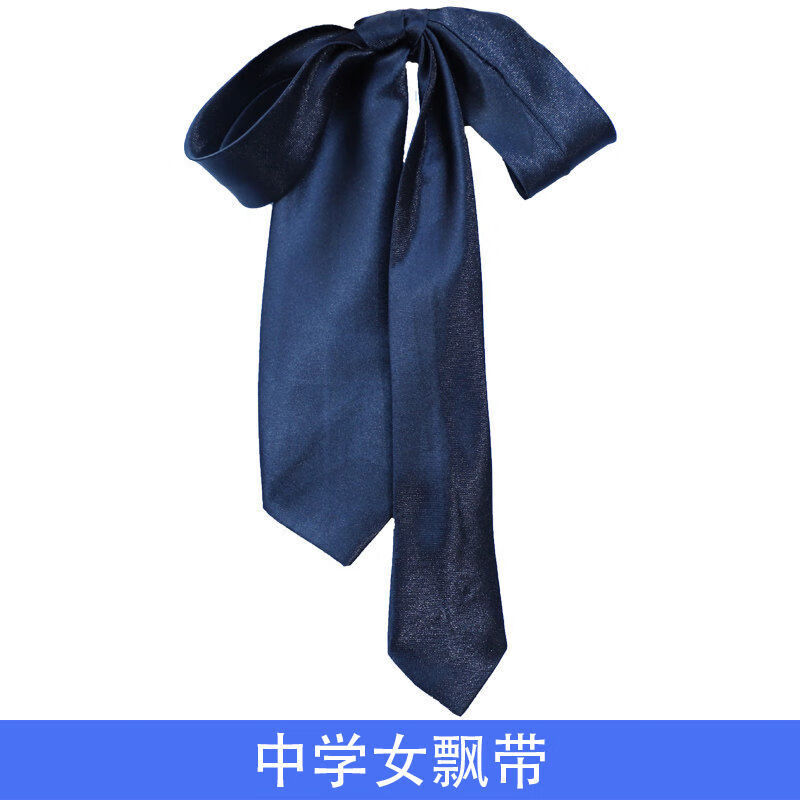 深圳中学生领带中学生礼服男领带女飘带小学生领结红领巾小学红领巾