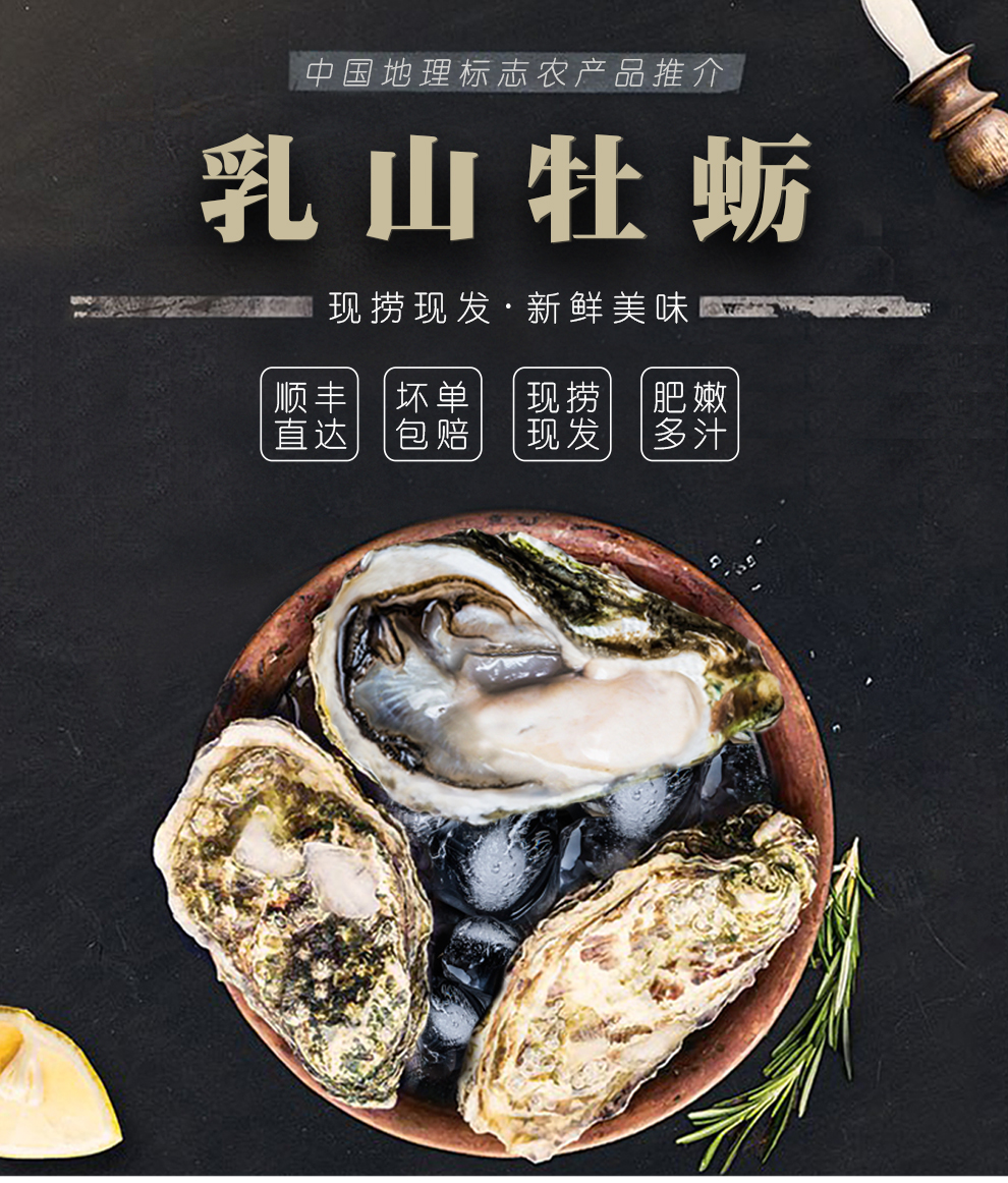 蔬香客 鲜活牡蛎生蚝海蛎子海鲜水产烧烤食材带三件套 净重2kg xl(90