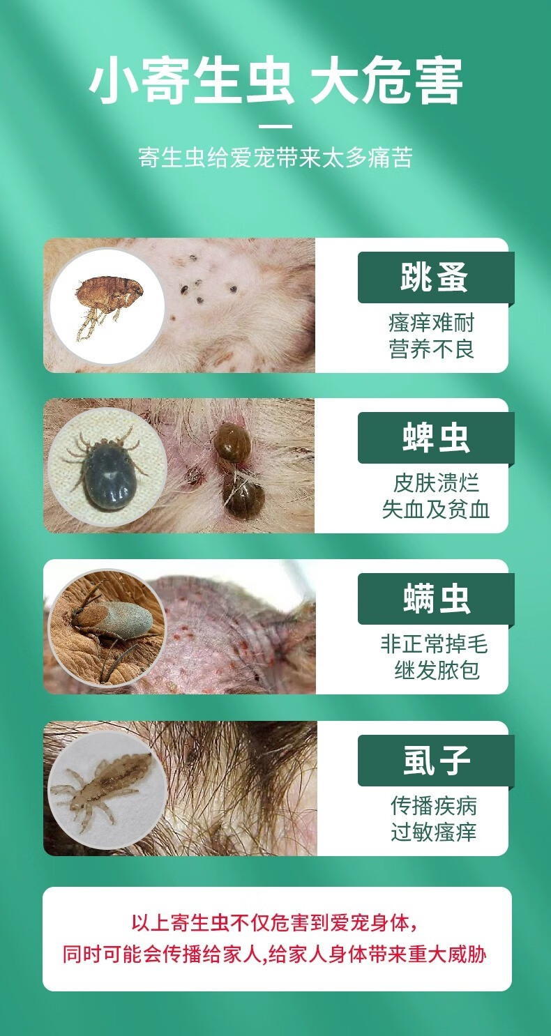 4，寵物狗狗貓咪躰外敺蟲噴霧劑去跳蚤除蜱蟲虱子殺菌除蟎專用噴霧劑 1瓶裝【狗狗敺蟲】