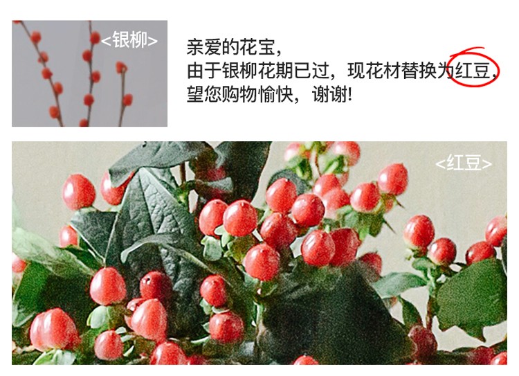 【基地直发】FlowerPlus花加单品鲜花云南昆明花束精致桌面瓶插花摆件鲜切花（下单后7天内发货） 六出花10枝，颜色随机