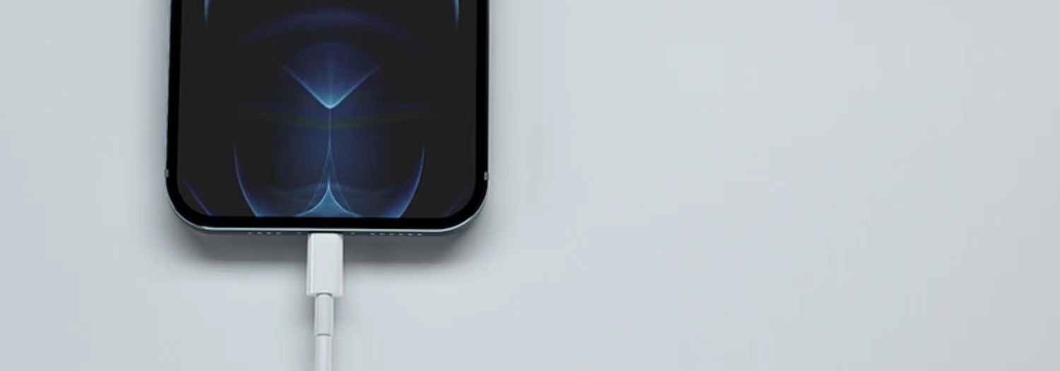 掌之友 苹果充电器20W快充PD快充头插头套装适用iPhone13\/12\/11\/ProMax 【PD20W-1米线套装】充电头+快充线