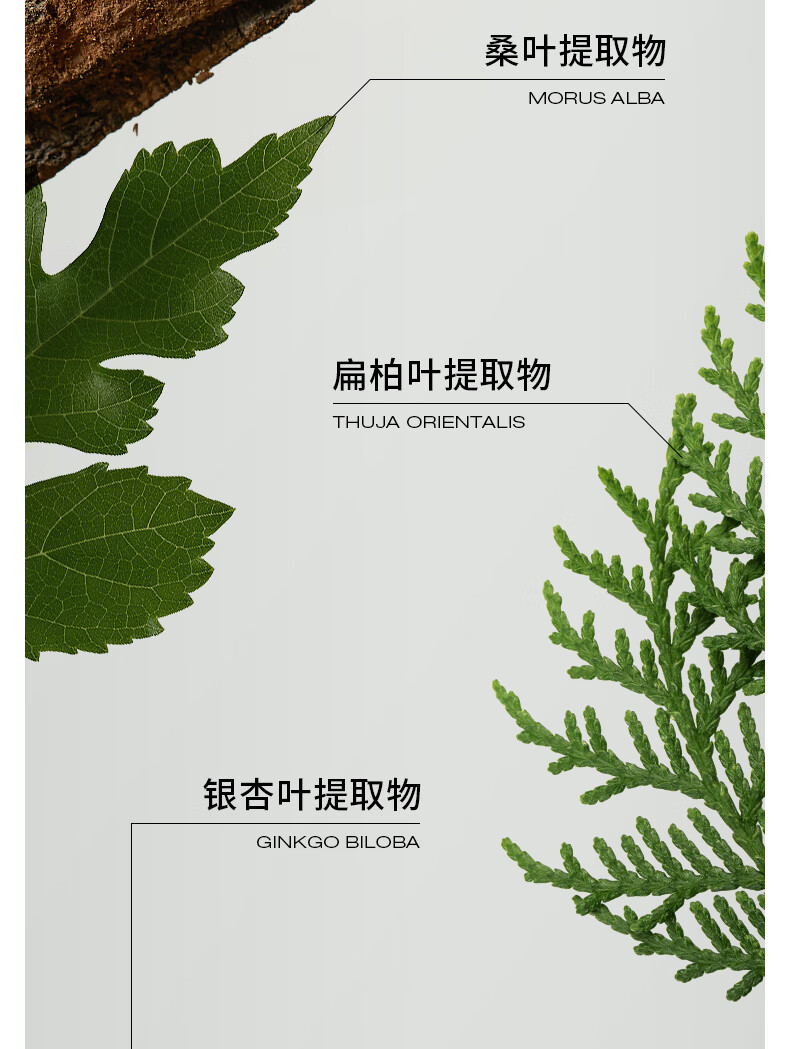 浴见果酸双萃身体精华护肤油滋润补水身体乳保湿喷雾清爽-雨中苔100ml