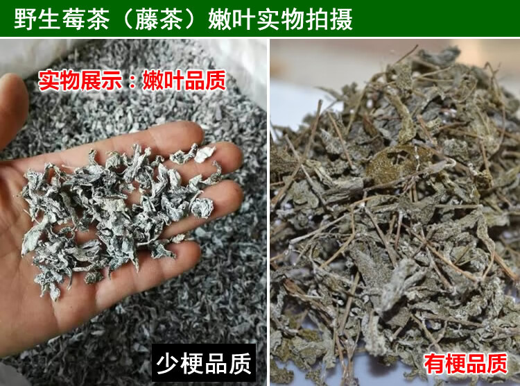 张家界特产野生藤茶莓茶土家霉茶苦甘露显齿蛇葡萄毛藤石