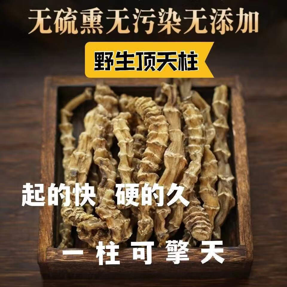 【回春草】顶天柱中药 不老草硬的快云南野生 泡茶泡酒料配起阳草