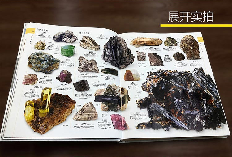 《DK博物大百科》 中文版 自然界的视觉盛宴 图1