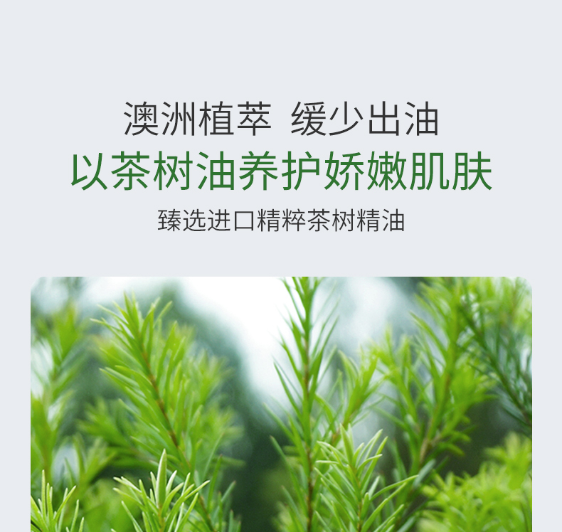 冰菊（BingJu）茶树油水盈清颜面膜补水保湿亮肤 5盒/50片