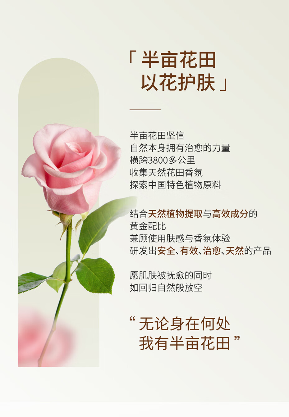半亩花田氨基酸洗面奶泡沫洁面慕斯深层清洁毛孔泡泡洗面奶男女士洁面 氨基酸泡泡洁面慕斯500g*2