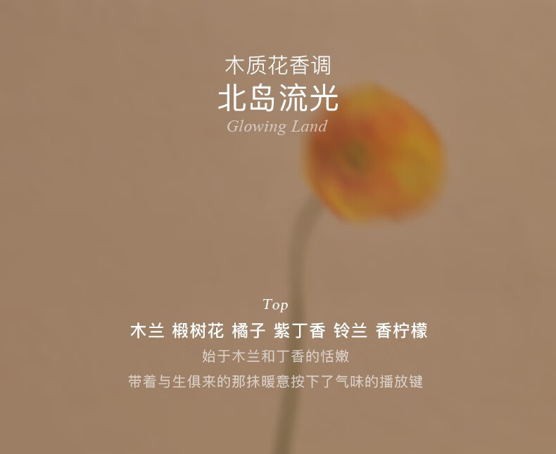 独特艾琳（Dear lrean）烟酰胺手膜精油 保湿补水淡细纹嫩白去死皮老茧滋润双手部护理 艾克斯假期香氛手膜（5片装）