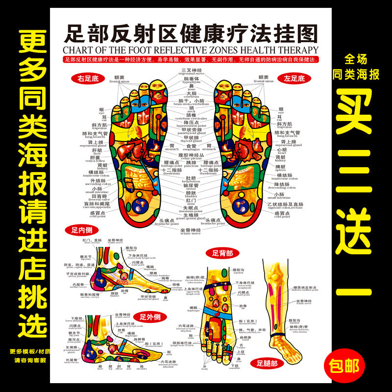 足部反射区挂图足底按摩好处足疗足浴经络穴位图片中医养生5070厘米pp