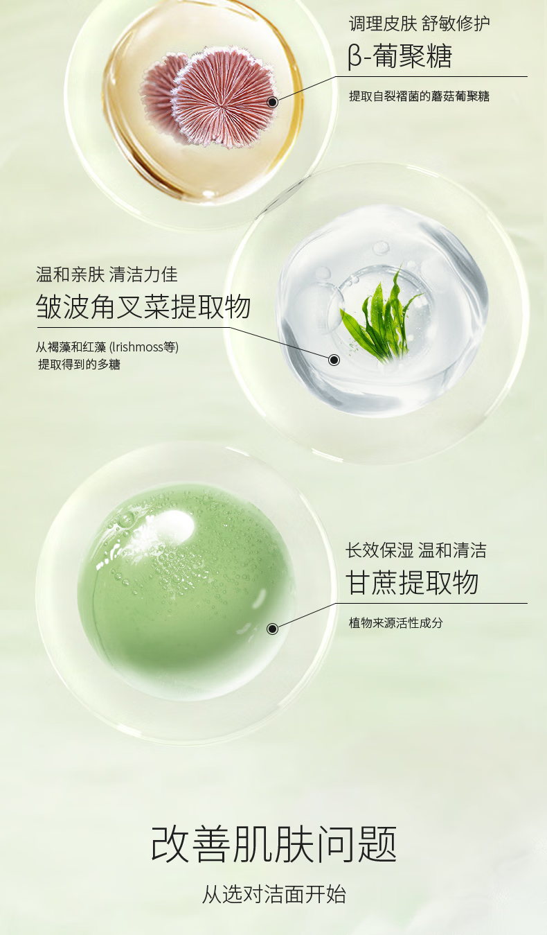范泳辰洗面奶植萃净透氨基酸洁面乳男女士清洁毛孔黑头学生军训控油不干 100g 一支装
