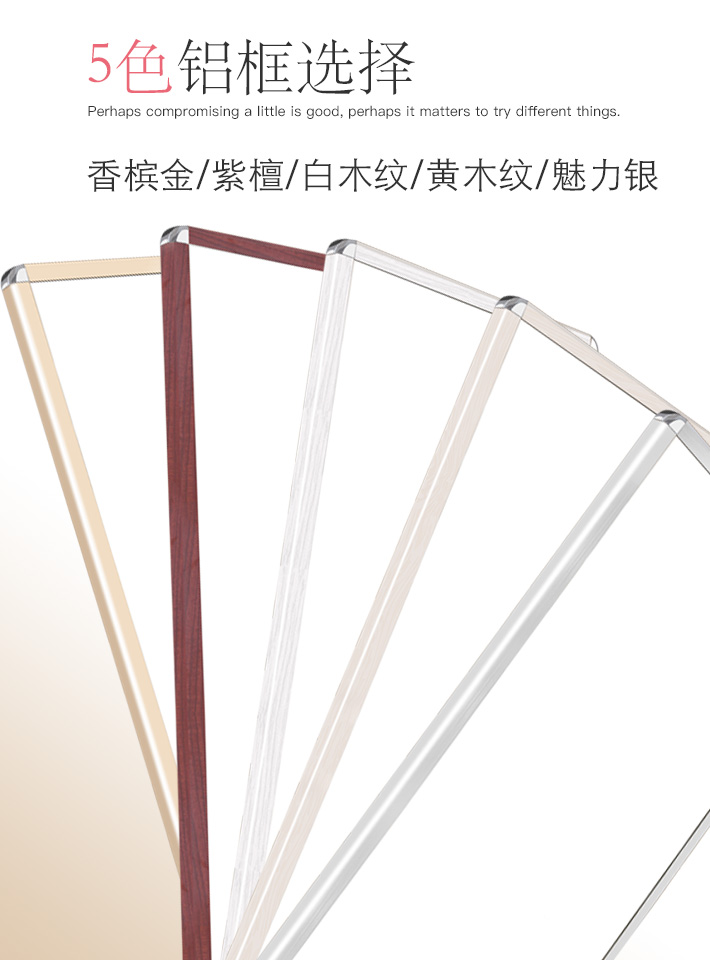 衣柜镜子推拉镜旋转镜试衣镜衣橱内隐藏式折叠镜伸缩全身镜穿衣镜 D款深空黑120*40 其他 否